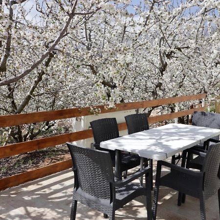 Oriental Nature Majdal Shams Exterior photo