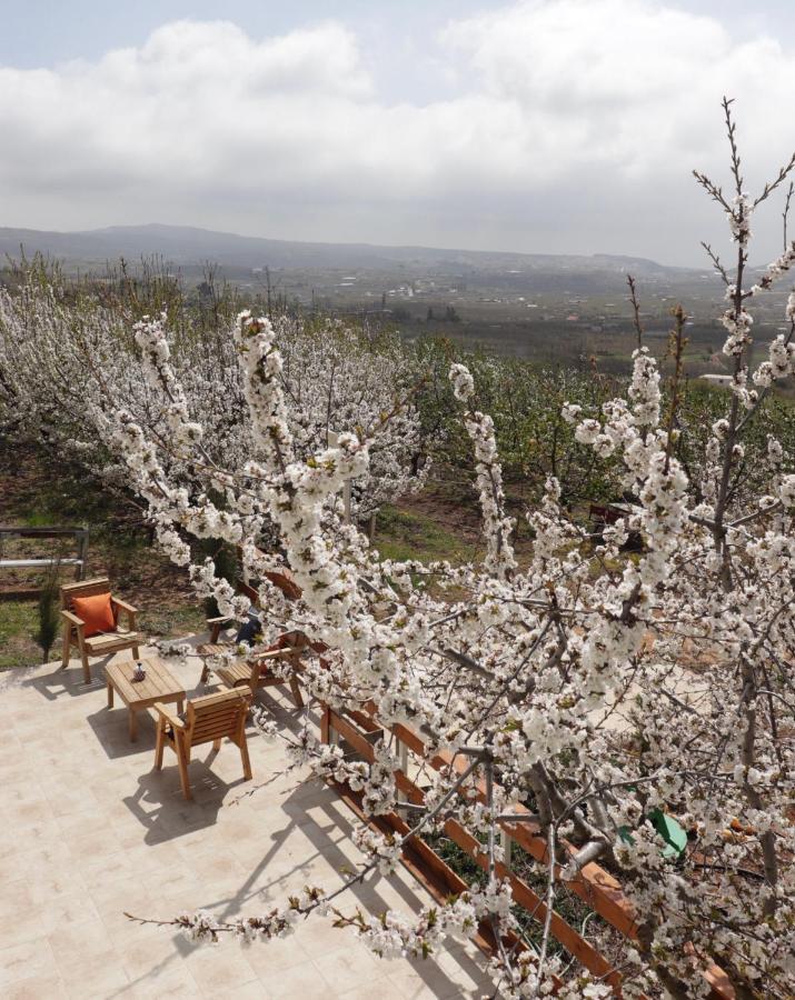 Oriental Nature Majdal Shams Exterior photo