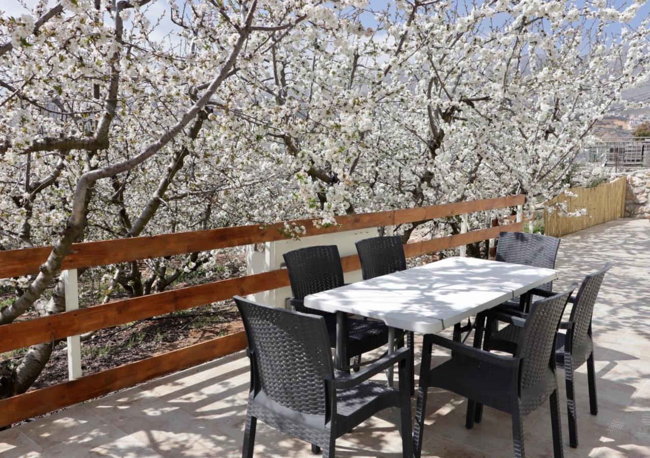 Oriental Nature Majdal Shams Exterior photo