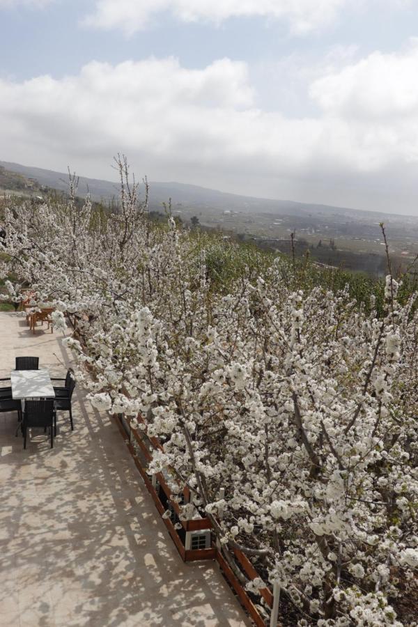 Oriental Nature Majdal Shams Exterior photo