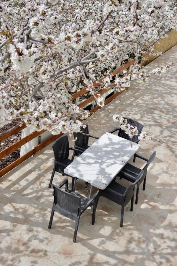 Oriental Nature Majdal Shams Exterior photo