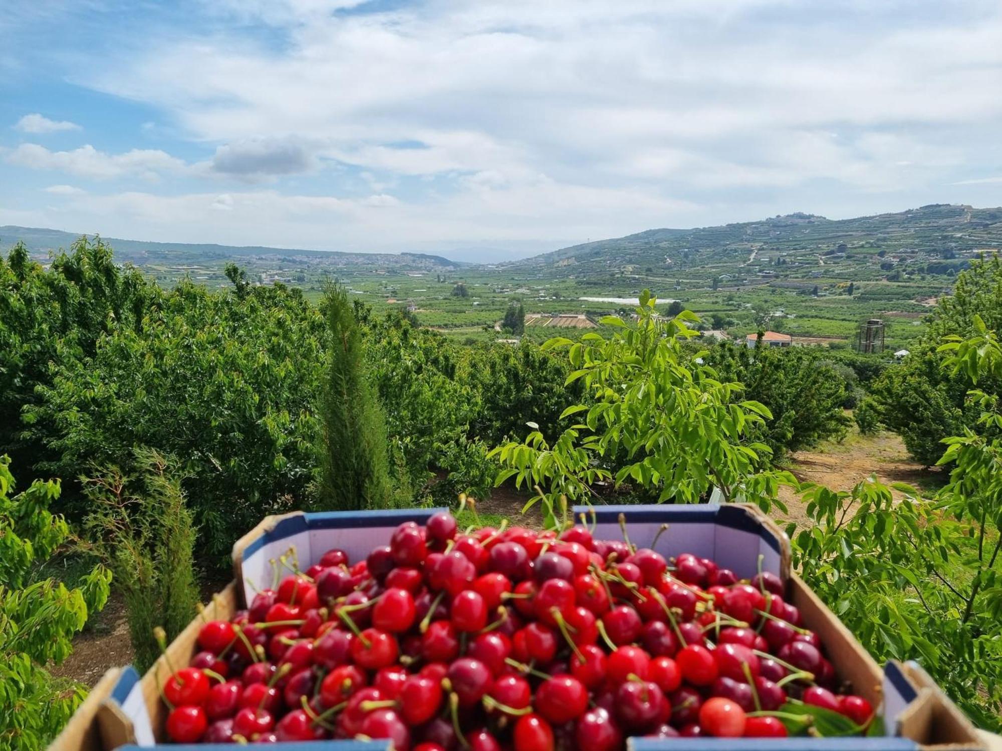 Oriental Nature Majdal Shams Exterior photo